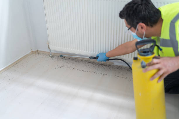 Best Exterminator Services  in University At Buffalo, NY